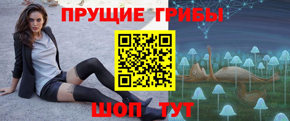 Луга  Псилоцибиновые грибы Psilocybine cubensis  Вход с VPN  Псилоцибиновые грибы Magic Shrooms 